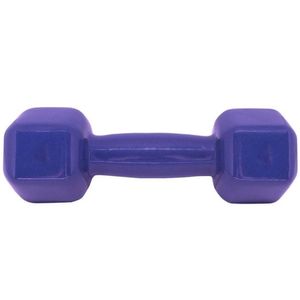 Halter Acte Sports 4kg Emborrachado Sextavado Roxo - unidade