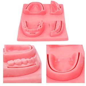 Kit Simulador 3D Dental para Treinamento de Sutura Ortho Pauher