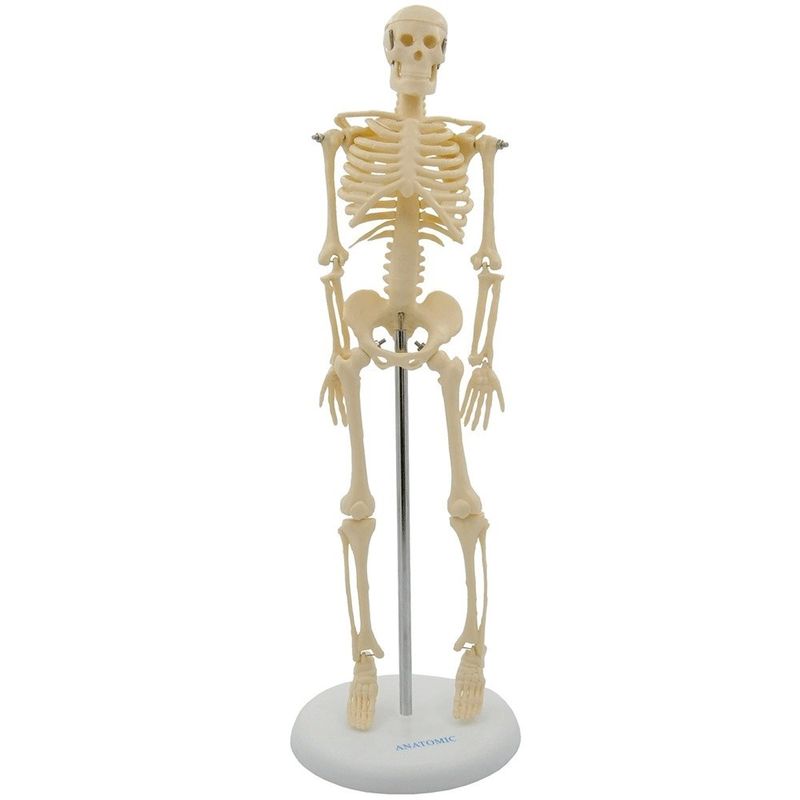 6453
