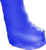 2645