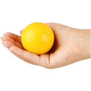 Esfera para Fisioterapia/Fortalecimento Muscular Silicalk - unidade