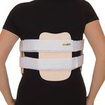 visao-posterior