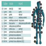 poolfix-rede-tubular-elastica-3-tabela