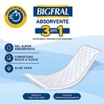 absorvente-bigfral-tamanho-unico-20-unidades-informacoes