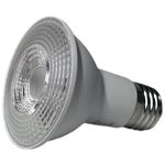 lampada