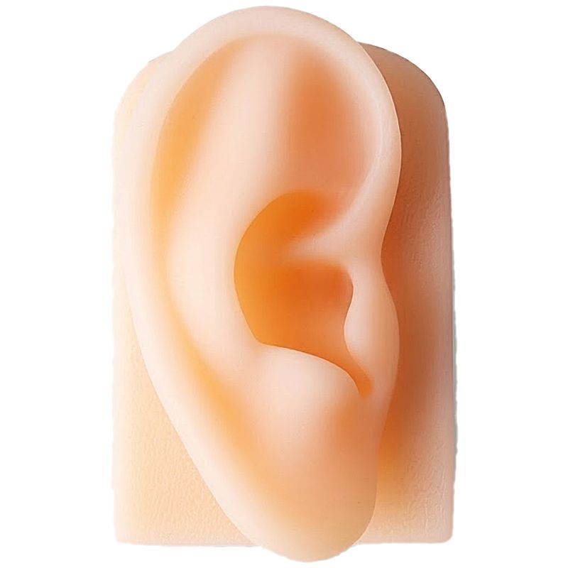 simulador-de-sutura-orelha-silicone-supermedy