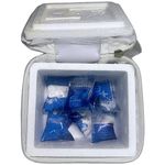 estojo-termico-para-insulina-polar-termica-800ml-visao-interna
