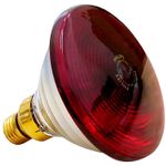 lampada-infrared-philips-150w-visao-produto