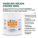 vaselina-solida-cinord-500g-informacoes