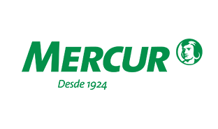 logo Mercur